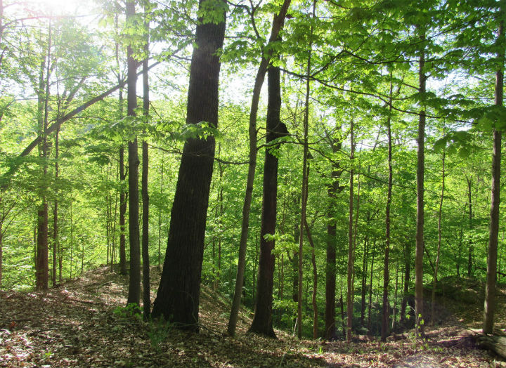 Carter Caves State Park